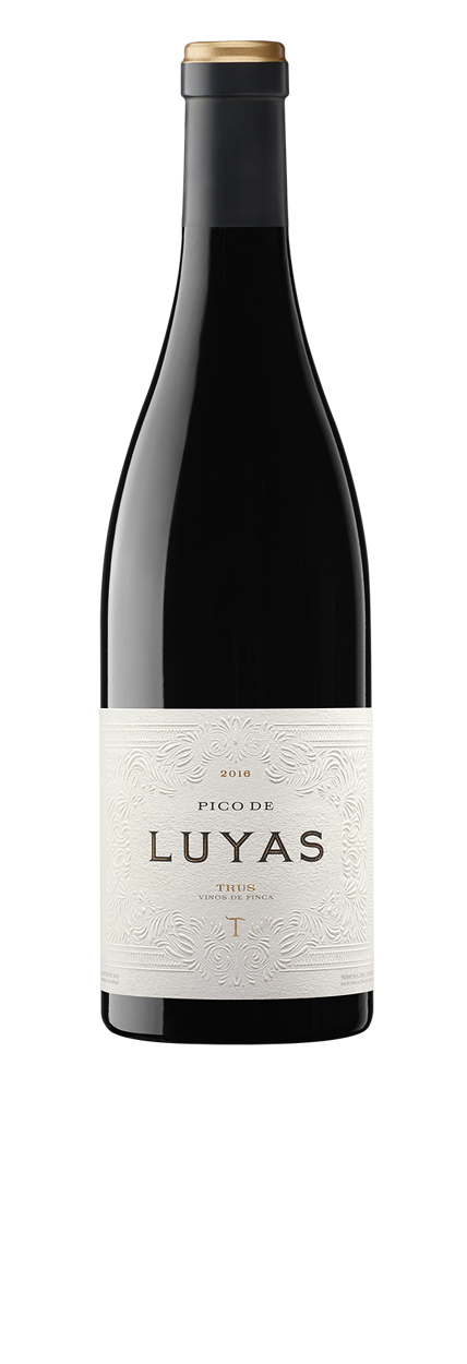 Pico de Luyas