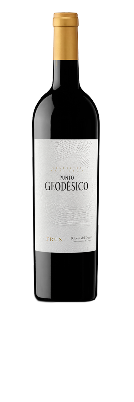 PUNTO GEODÉSICO