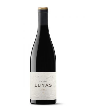 Pico de Luyas 2019